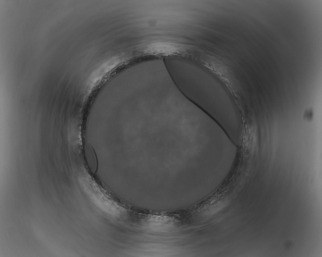 X0000116770399201001071220