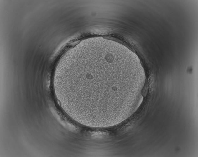 X0000116770400201001071220