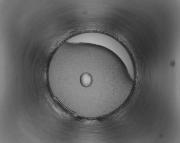 X0000116770401201001071220