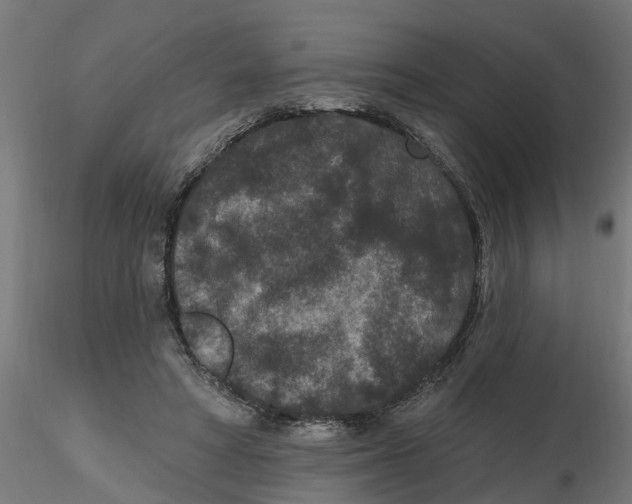 X0000116770402201001071220