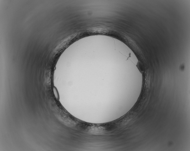 X0000116770403201001071220