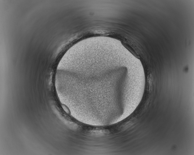 X0000116770404201001071220