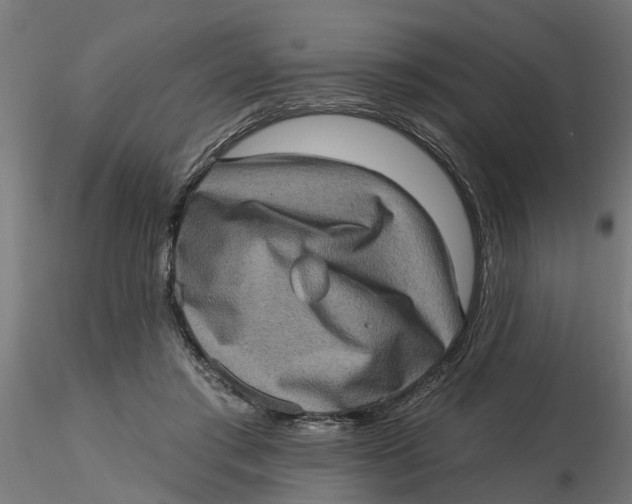 X0000116770405201001071220