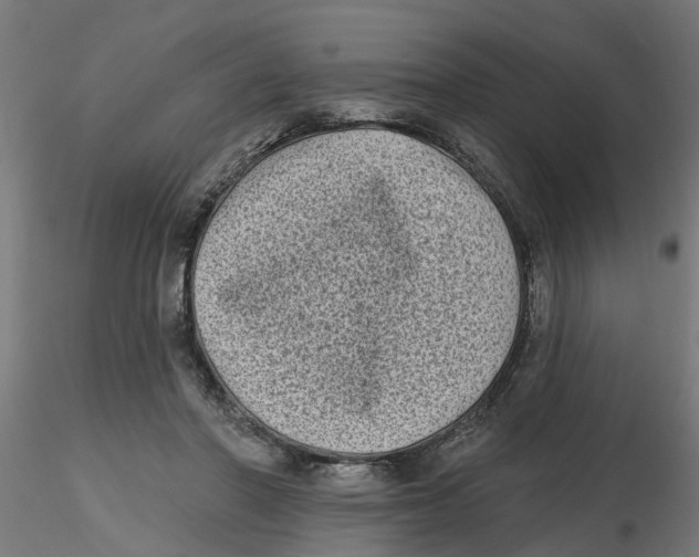 X0000116770406201001071220