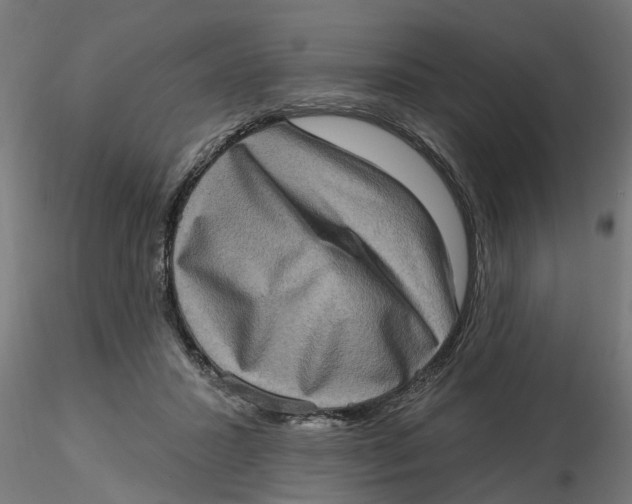 X0000116770407201001071220