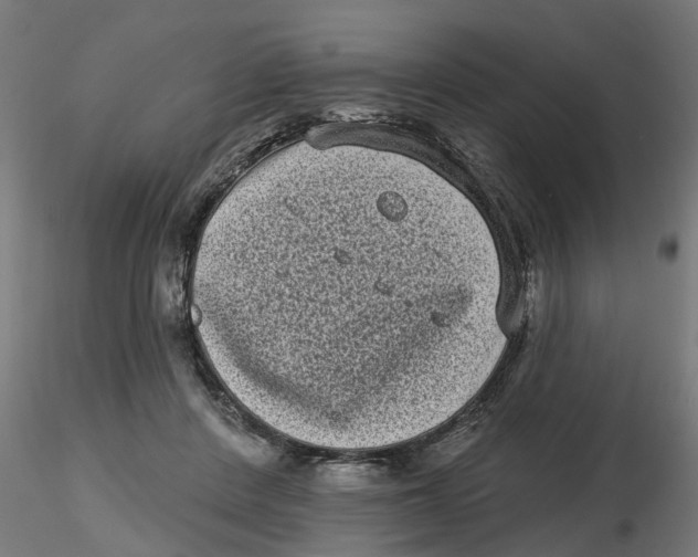 X0000116770408201001071220