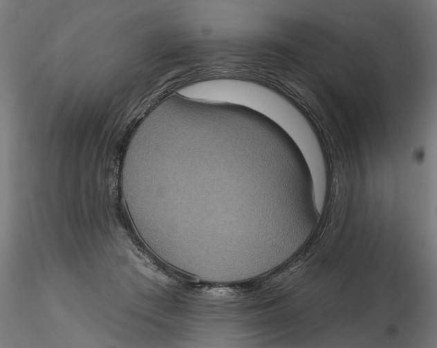 X0000116770409201001071220