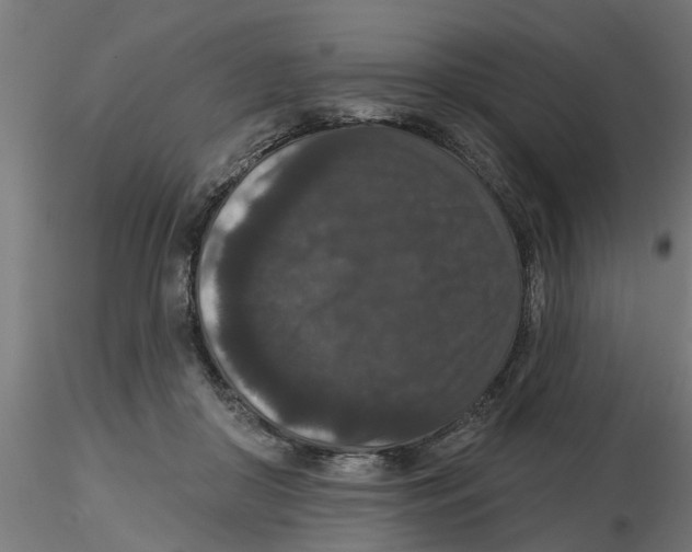 X0000116770410201001071220