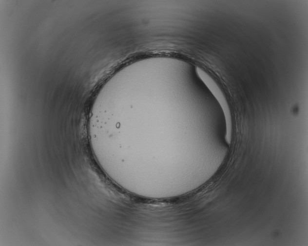 X0000116770411201001071220