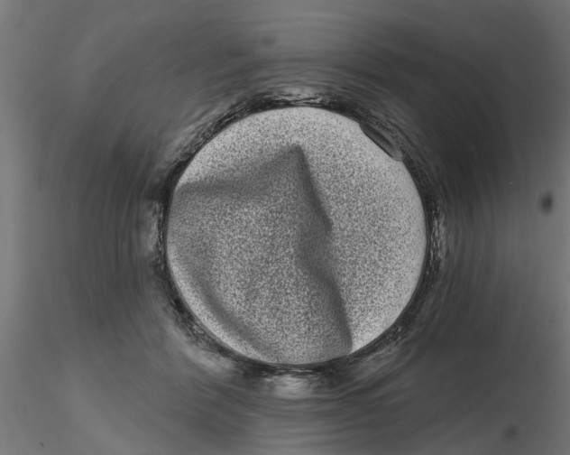 X0000116770412201001071220