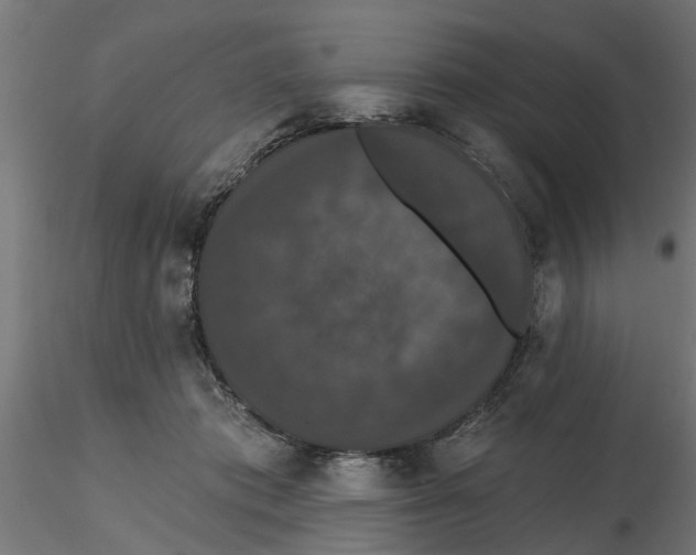 X0000116770413201001071220