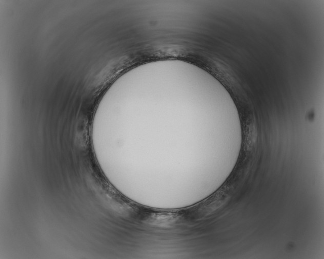 X0000116770414201001071220