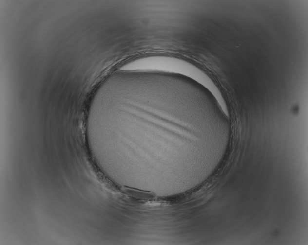 X0000116770415201001071220