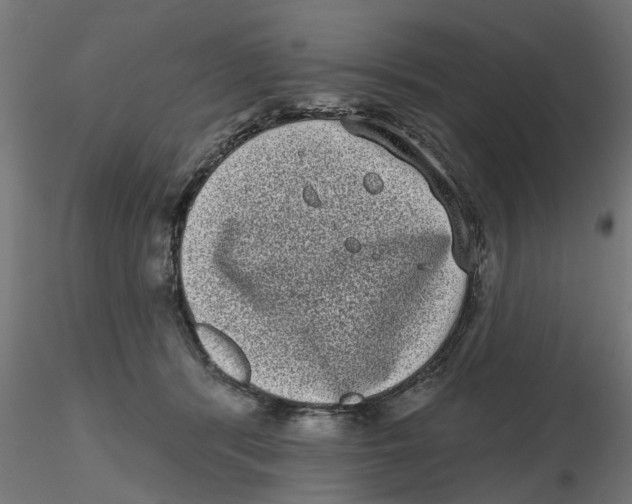 X0000116770416201001071220