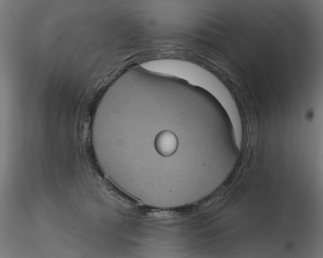 X0000116770417201001071220