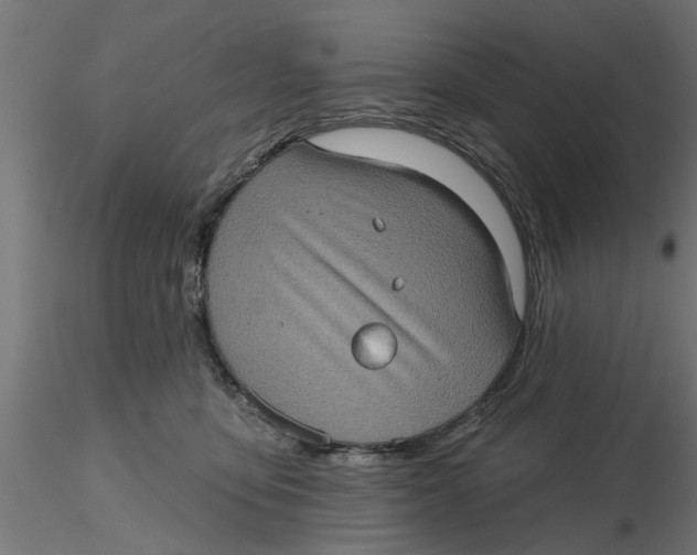 X0000116770419201001071220