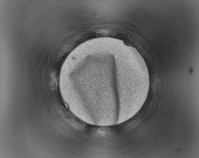 X0000116770420201001071220