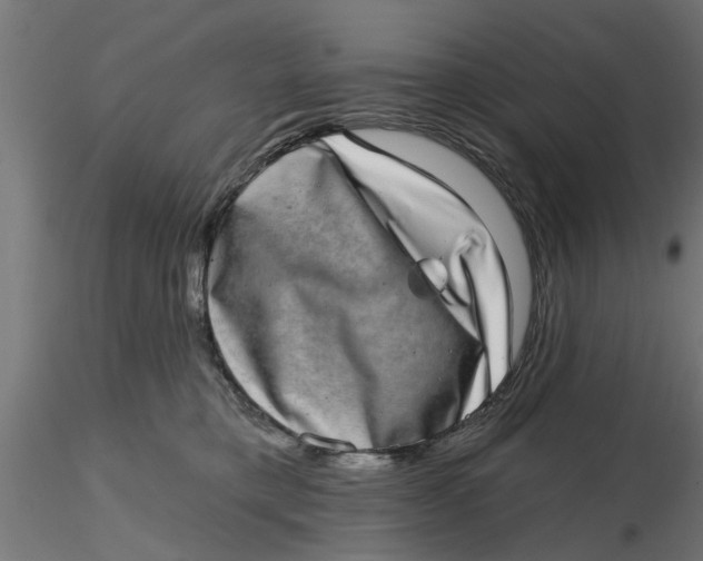 X0000116770421201001071220