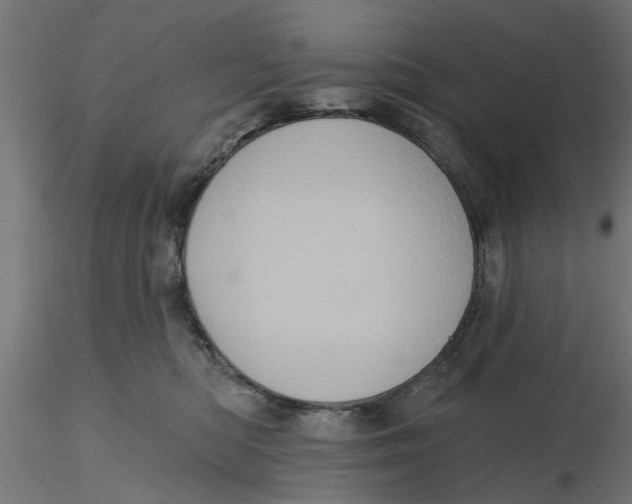 X0000116770422201001071220