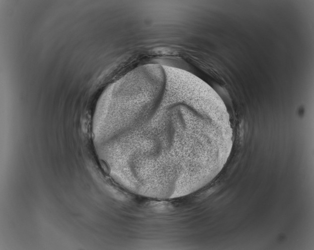 X0000116770424201001071220