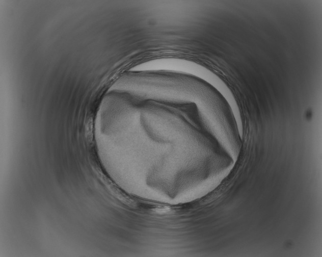 X0000116770425201001071220