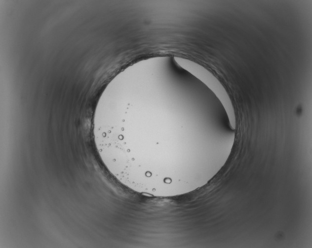 X0000116770427201001071220