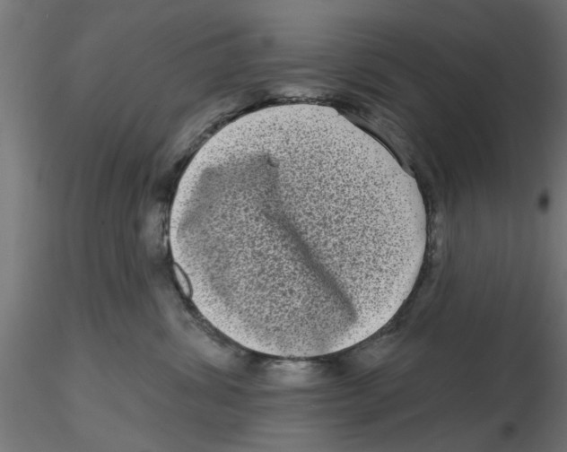 X0000116770428201001071220