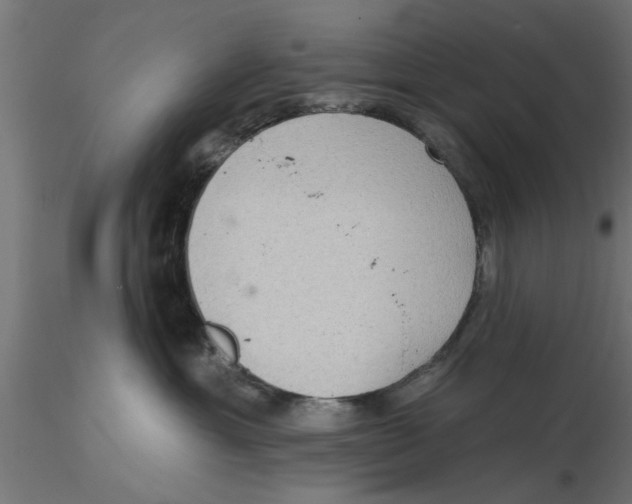 X0000116770429201001071220