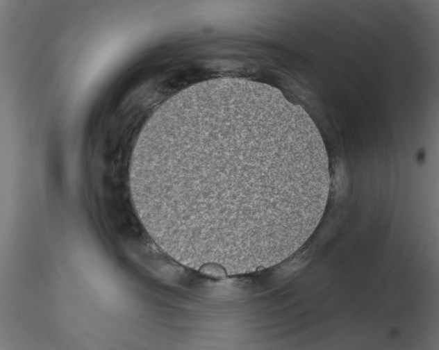 X0000116770430201001071220