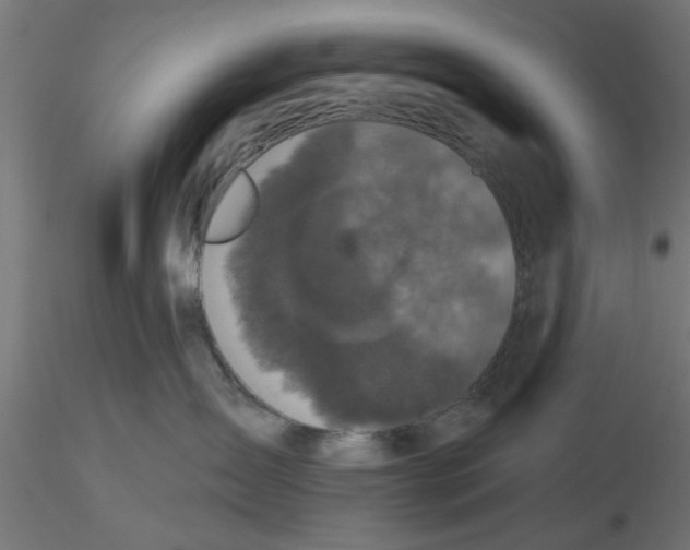 X0000116770431201001071220