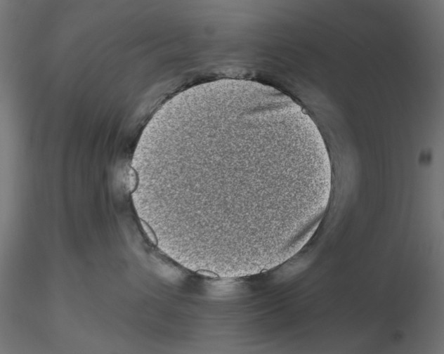 X0000116770432201001071220