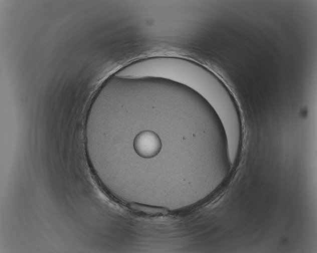 X0000116770433201001071219