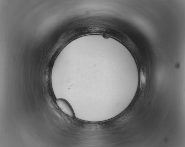 X0000116770435201001071219