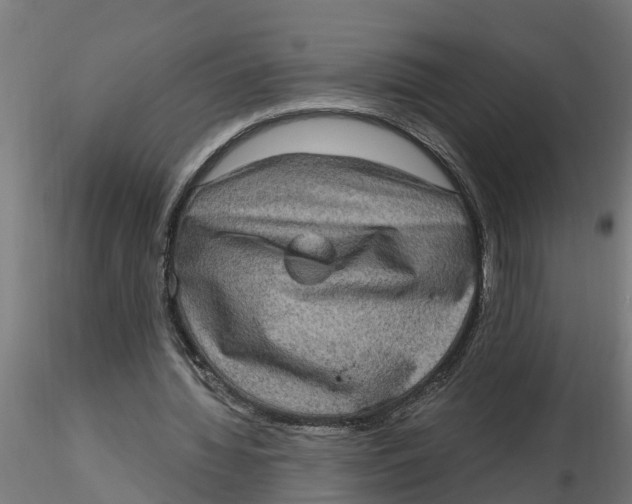 X0000116770436201001071219