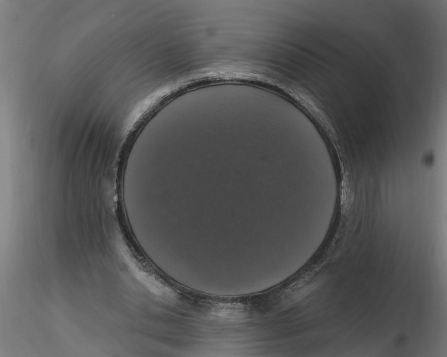 X0000116770438201001071219