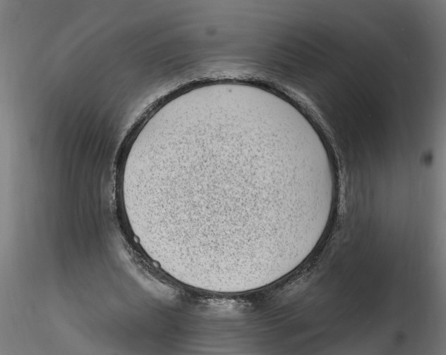 X0000116770439201001071219