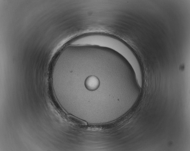 X0000116770440201001071219