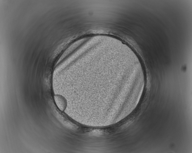 X0000116770441201001071219