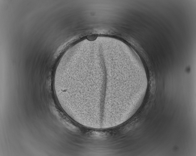 X0000116770442201001071219