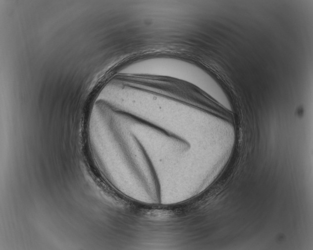 X0000116770444201001071219