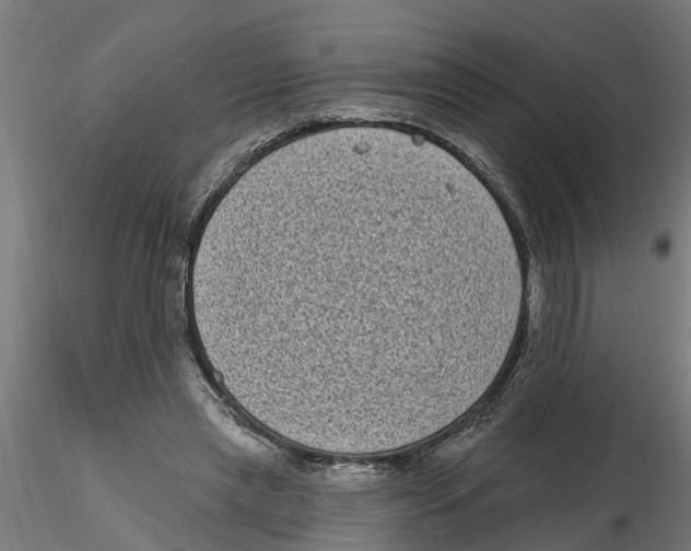 X0000116770445201001071219