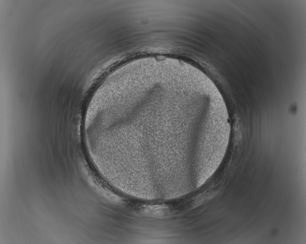 X0000116770446201001071219