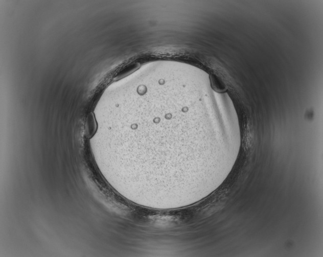 X0000116770448201001071219