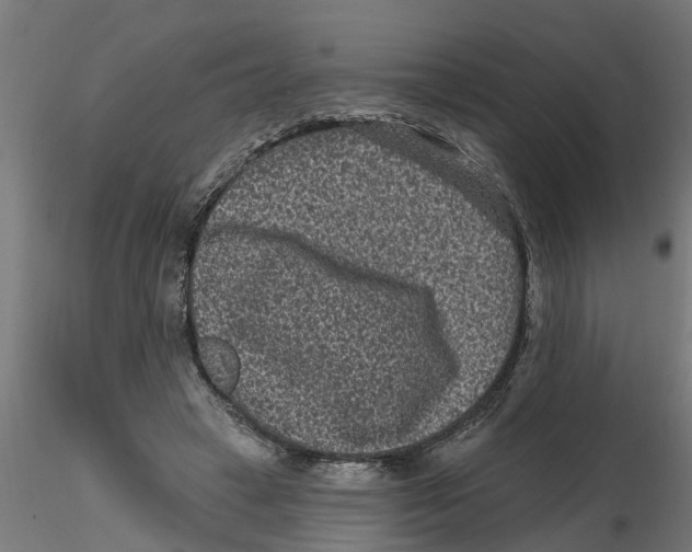 X0000116770449201001071219