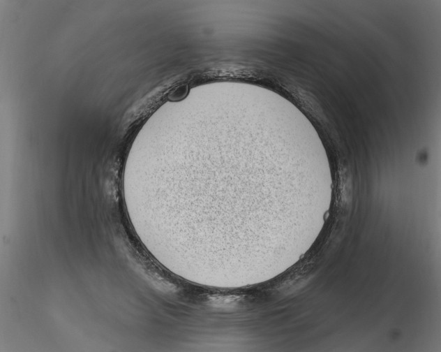 X0000116770450201001071219