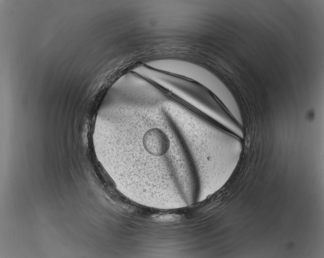 X0000116770452201001071219