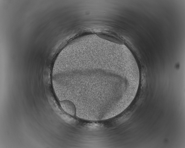 X0000116770453201001071219