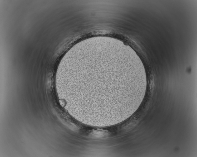 X0000116770455201001071220