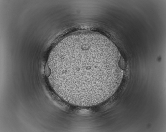 X0000116770456201001071220