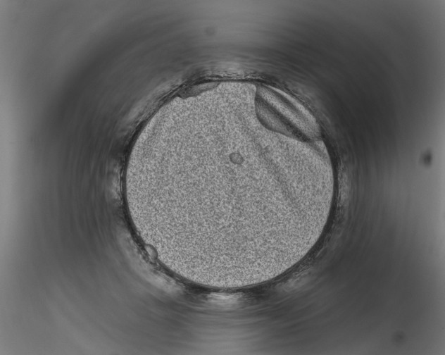 X0000116770457201001071220